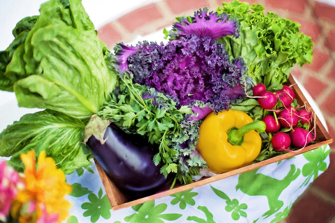 Nutrition Canberra